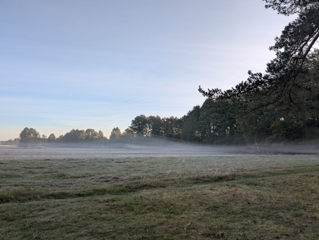 Polana wystawa z mgłą na trawami w Kampinoskim Parku Narodowym